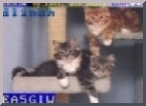 SSTV Picture 3