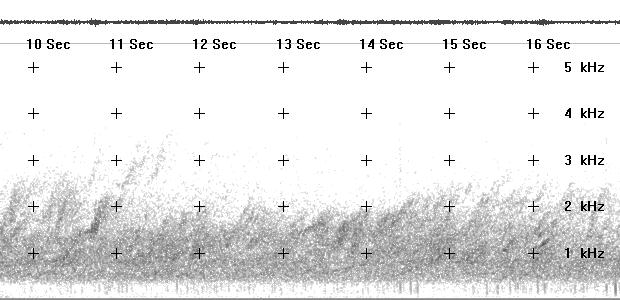 Spectrogram of strong daytime chorus taped in central Alaska 06 Sept. 1995