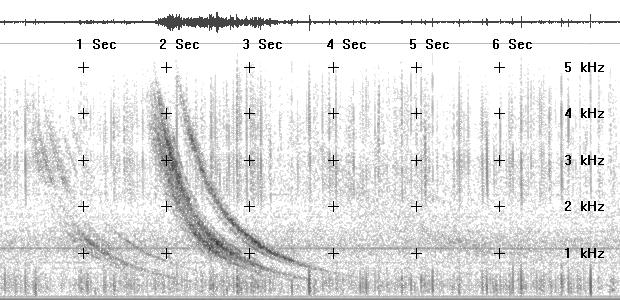Spectrogram JPG image of strong whistler